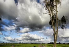 开云体育：[CBA]季后赛5月9日：浙江VS新疆 吴前集锦.